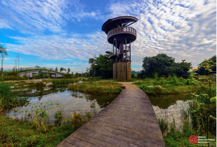 kranji-marshes