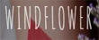 Windflower Florist Promo Codes